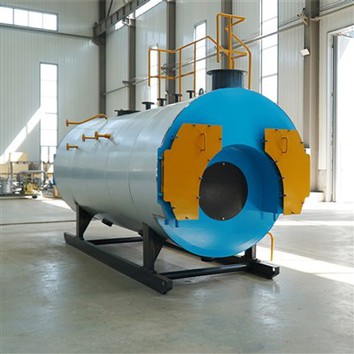 Caldera de vapor serie WNS